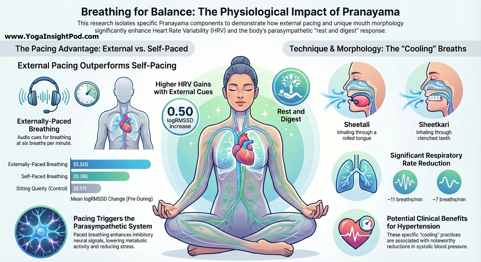 Pranayama and Heart Rate Variability: Study Dissects Which Breathing Components Boost Parasympathetic Tone
