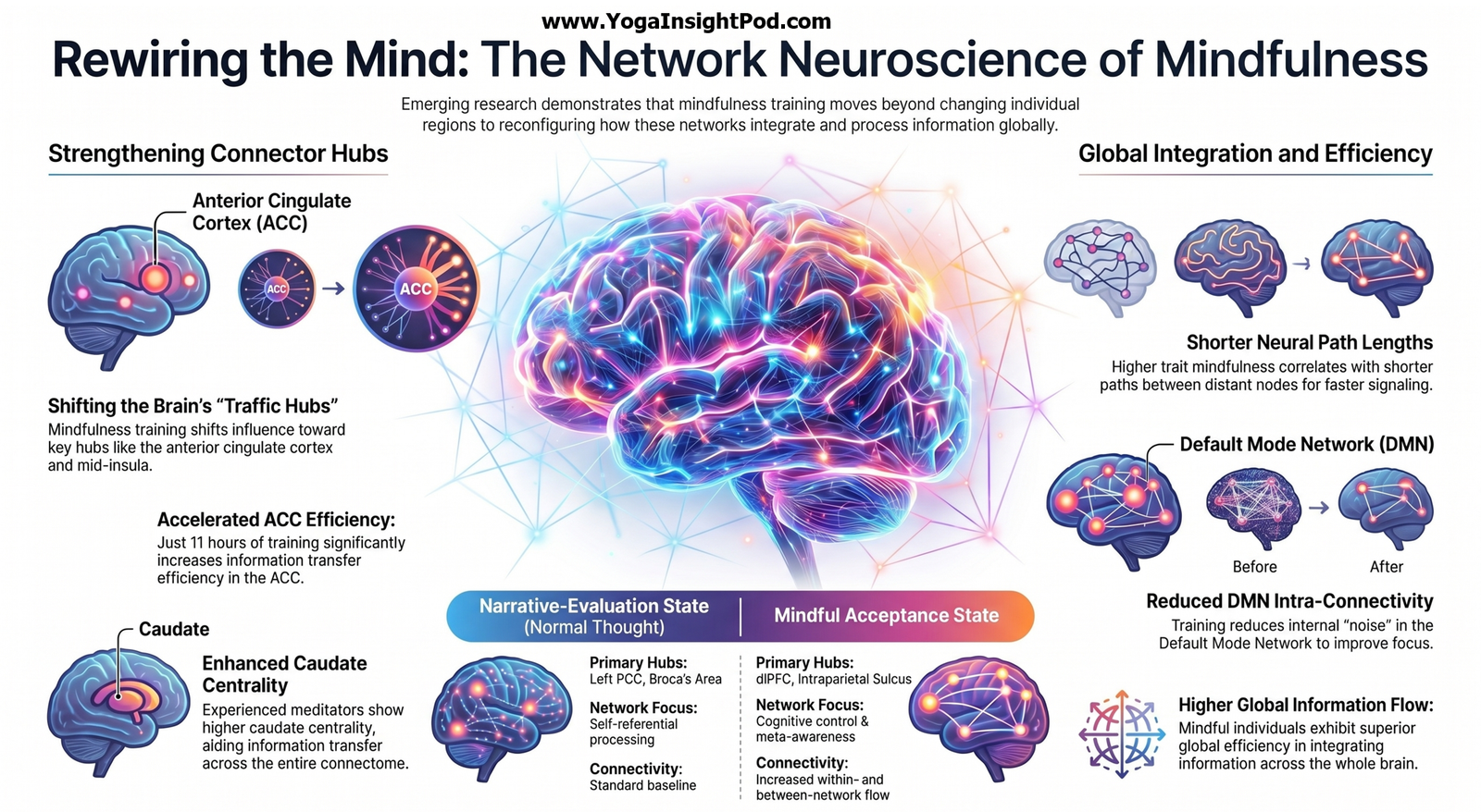 Mindfulness Meditation and Brain Networks: 2025 Review Shows How Practice Rewires Default Mode, Salience, and Control Systems
