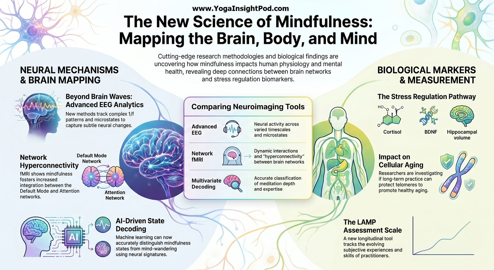 The Science of Mindfulness: How Meditation Is Transforming Brain Health and Mental Wellness