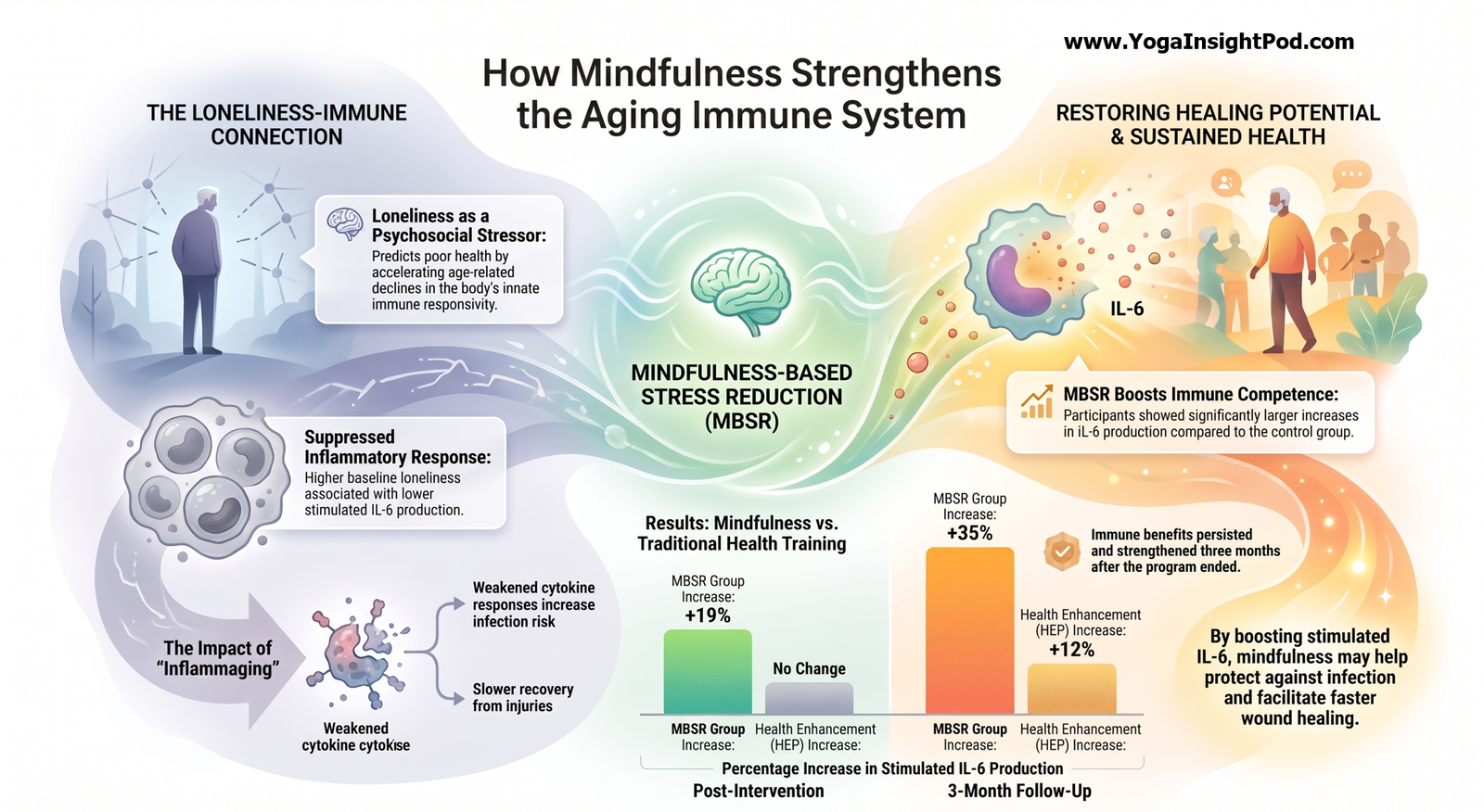 Can Mindfulness Strengthen Immune Responsiveness in Lonely Older Adults?